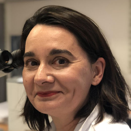Magali Lacroix-Triki